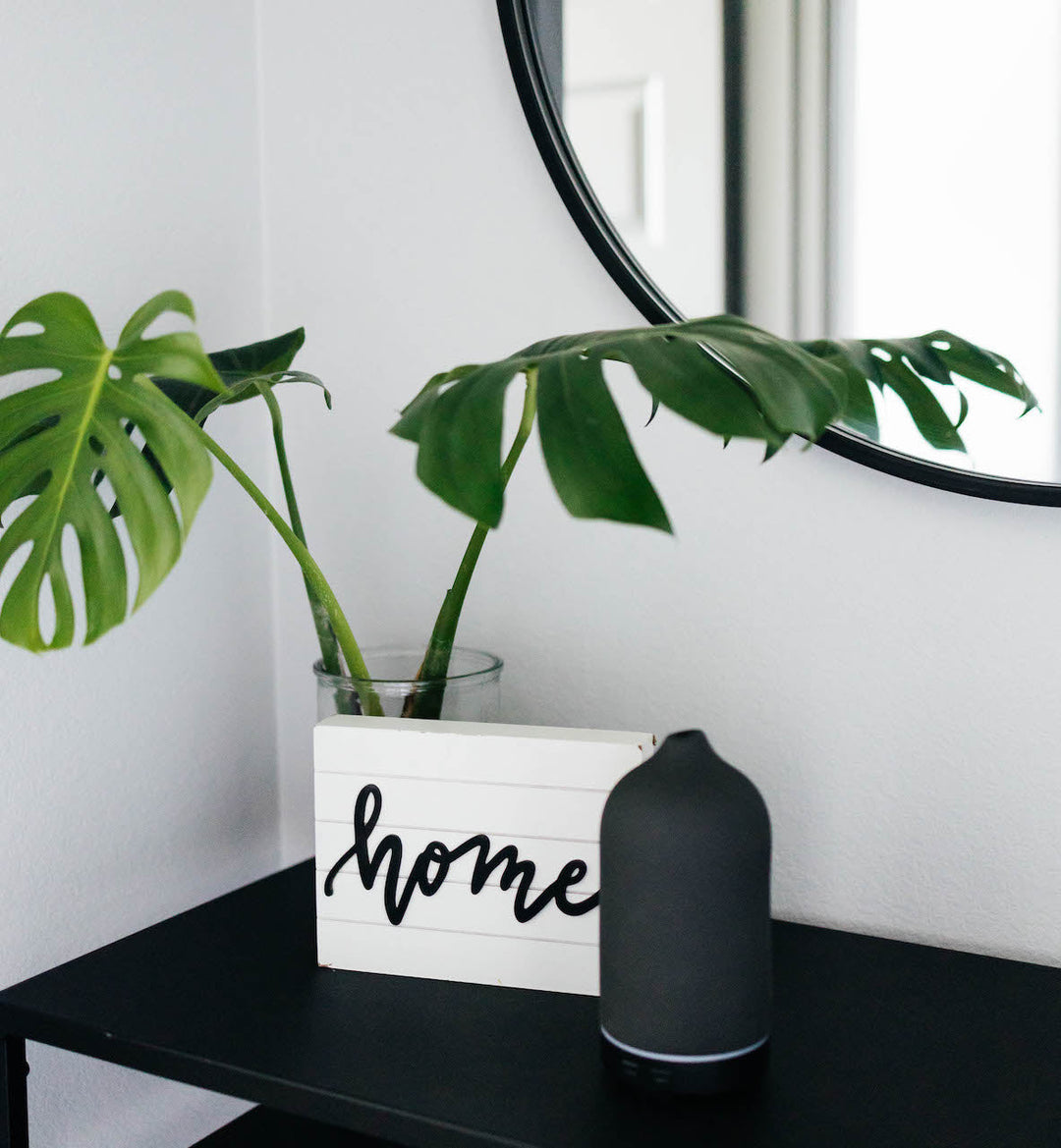 Potted plant on a black surface with a 'home' sign and a black vase.