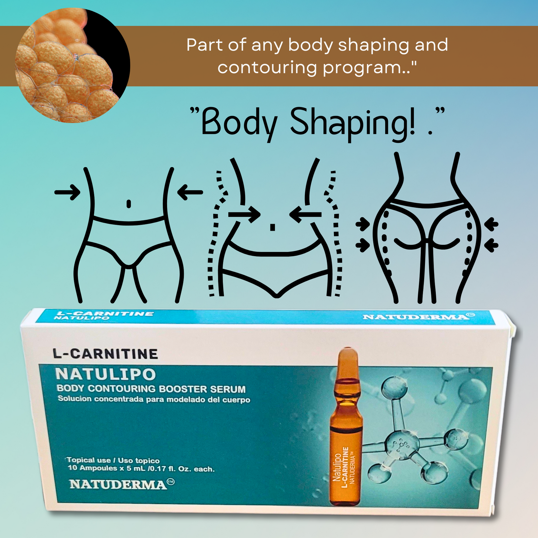 Ampollas de L-CARNITINA, suero de mesoterapia para tratamientos corpor Dermishop Ampollas de L-CARNITINA, suero de mesoterapia para tratamientos corpor Dermishop